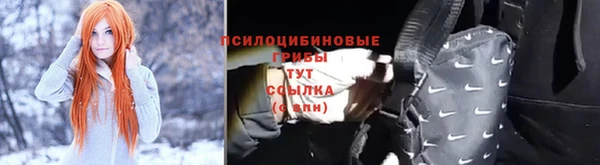 ПСИЛОЦИБИНОВЫЕ ГРИБЫ Алексин