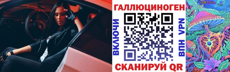 Псилоцибиновые грибы Psilocybe  Губкин 