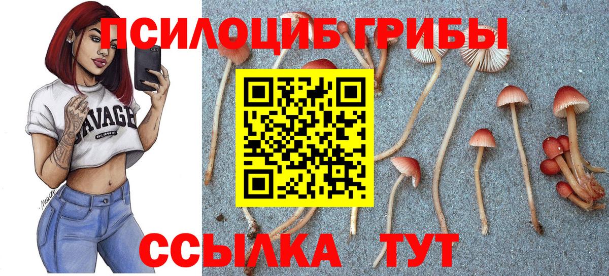Галлюциногенные грибы ЛСД Губкин