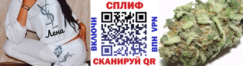 Конопля конопля где продают наркотики Губкин